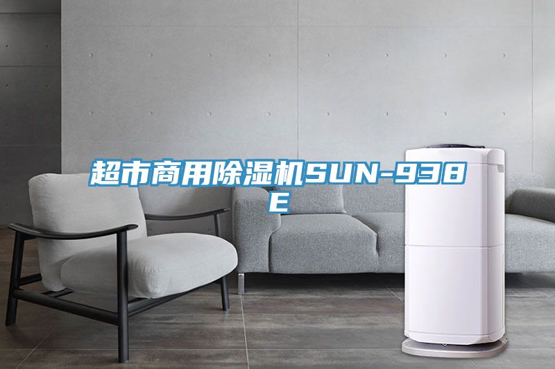 亚洲人成综合第一网站 超市商用除湿机SUN-938E