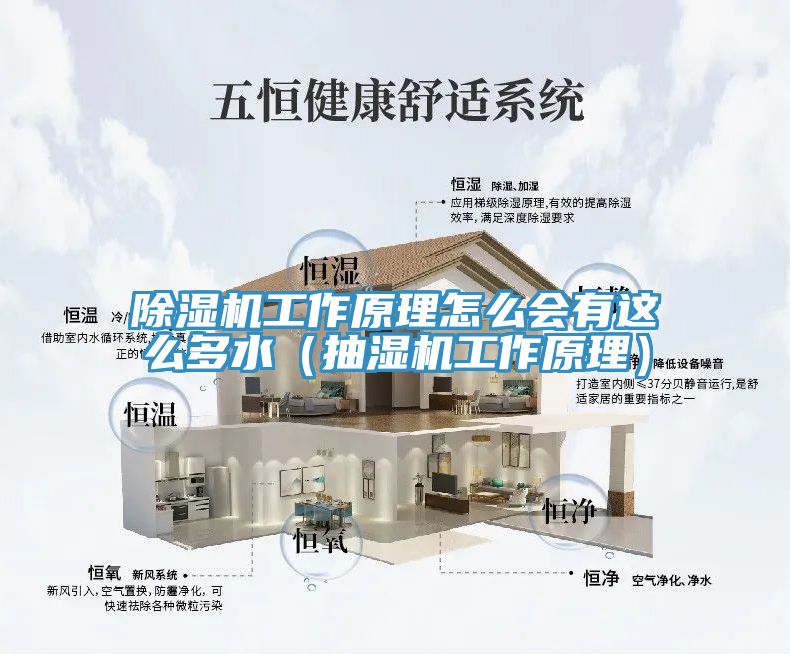 亚洲乱码一区二区三区 除湿机工作原理怎么会有这么多水（抽湿机工作原理）