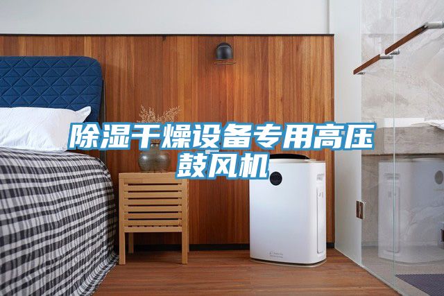 亚洲乱码一区二区三区 除湿干燥设备专用高压鼓风机