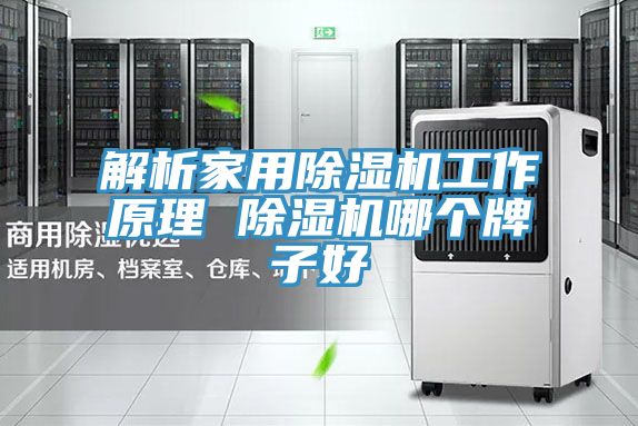 亚洲人成综合第一网站 解析家用除湿机工作原理 除湿机哪个牌子好