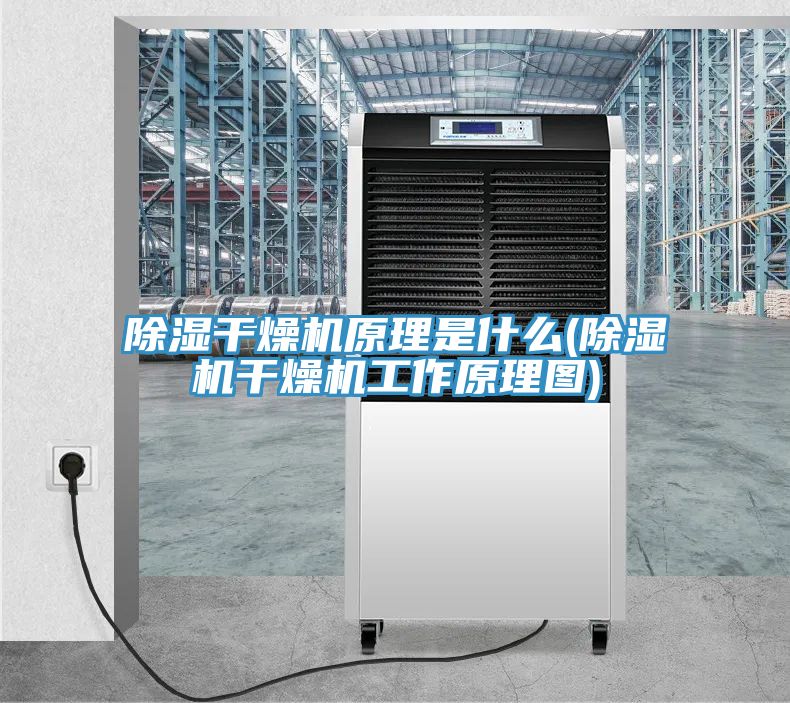 亚洲乱码一区二区三区 除湿干燥机原理是什么(除湿机干燥机工作原理图)