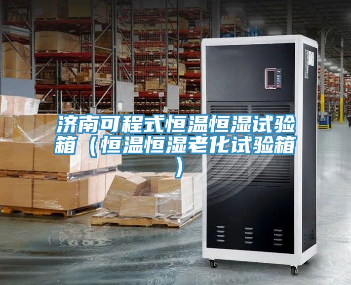 亚洲人成综合第一网站 济南可程式恒温恒湿试验箱（恒温恒湿老化试验箱）
