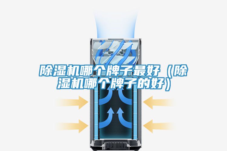 亚洲乱码一区二区三区 除湿机哪个牌子最好（除湿机哪个牌子的好）