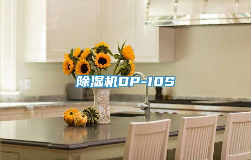 亚洲欧美一级特黄大片 除湿机DP-10S