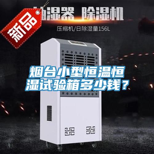 亚洲人成综合第一网站 烟台小型恒温恒湿试验箱多少钱？