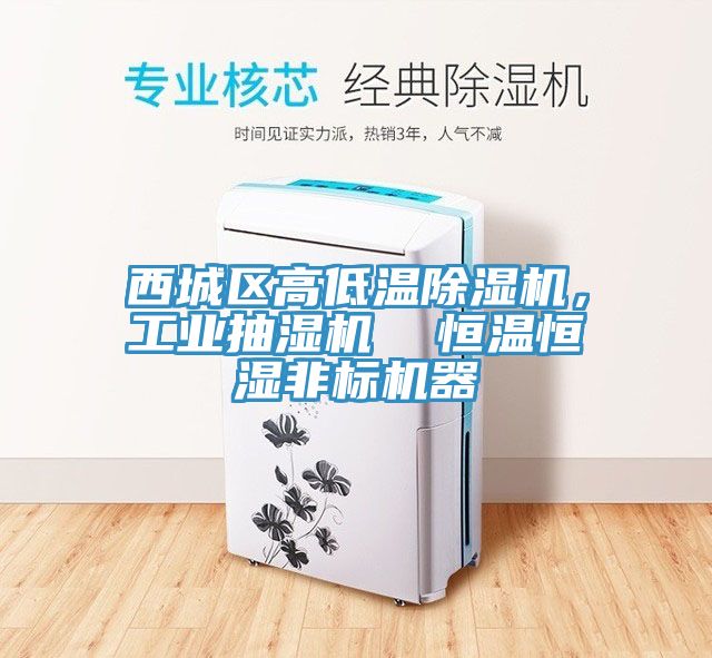 亚洲欧美一级特黄大片 西城区高低温除湿机，工业抽湿机  恒温恒湿非标机器