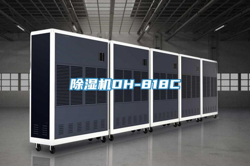 亚洲人成综合第一网站 除湿机DH-818C