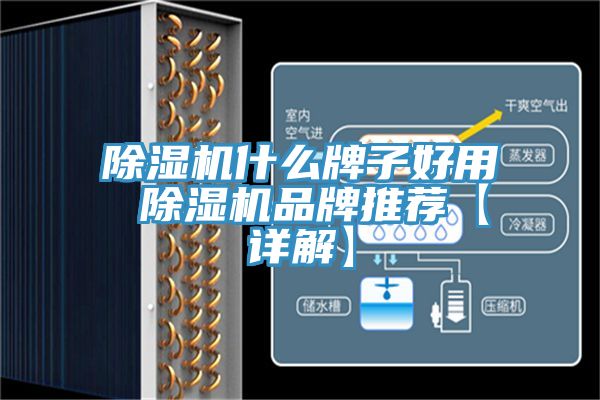 亚洲乱码一区二区三区 除湿机什么牌子好用 除湿机品牌推荐【详解】
