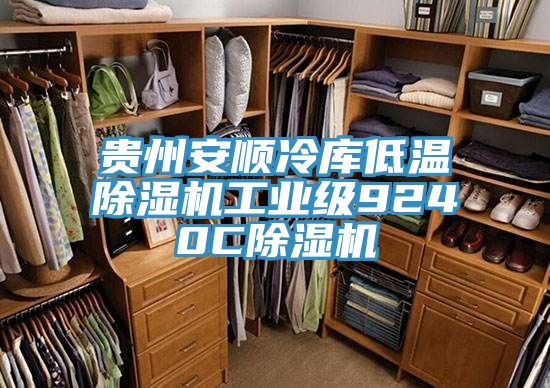 亚洲欧美一级特黄大片 贵州安顺冷库低温除湿机工业级9240C除湿机
