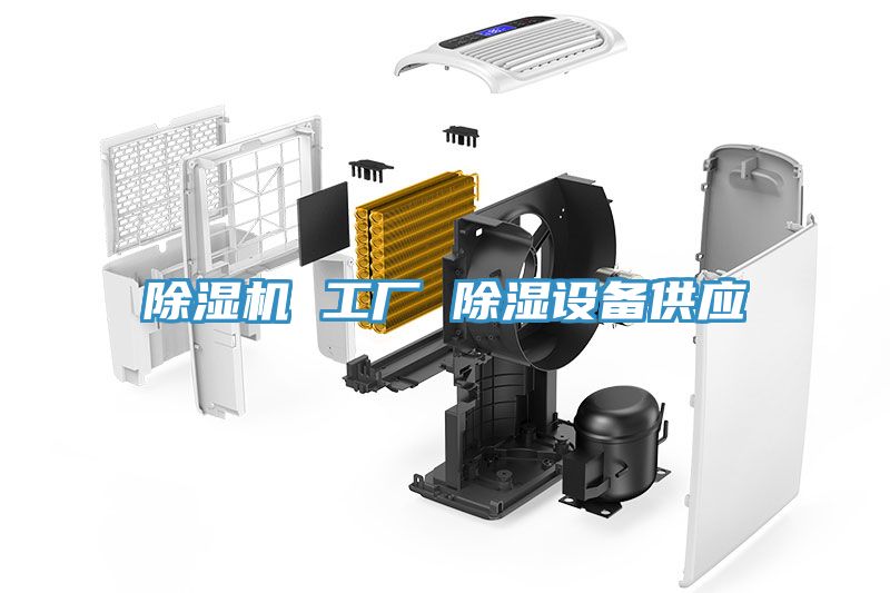 亚洲人成综合第一网站 除湿机 工厂 除湿设备供应