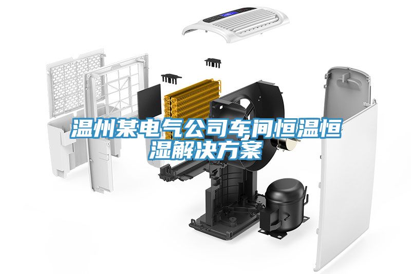 亚洲人成综合第一网站 温州某电气公司车间恒温恒湿解决方案