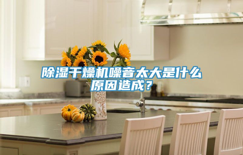 亚洲欧美一级特黄大片 除湿干燥机噪音太大是什么原因造成？
