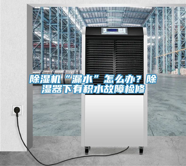 亚洲乱码一区二区三区 除湿机“漏水”怎么办？除湿器下有积水故障检修