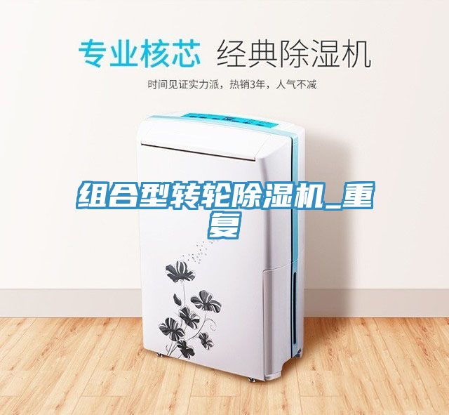 亚洲乱码一区二区三区 组合型转轮除湿机_重复