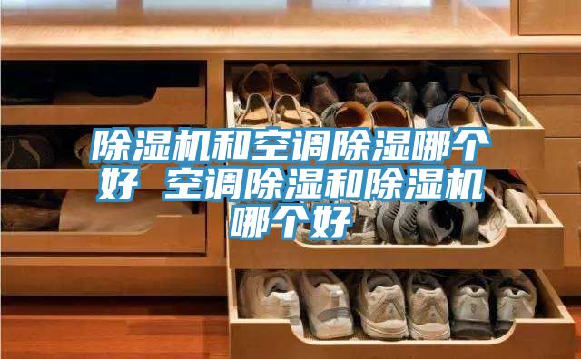 亚洲人成综合第一网站 除湿机和空调除湿哪个好 空调除湿和除湿机哪个好