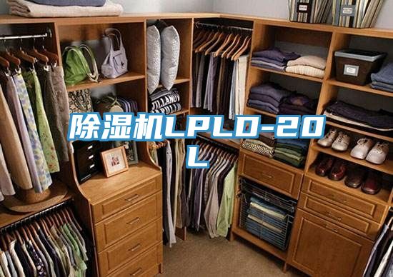 亚洲人成综合第一网站 除湿机LPLD-20L