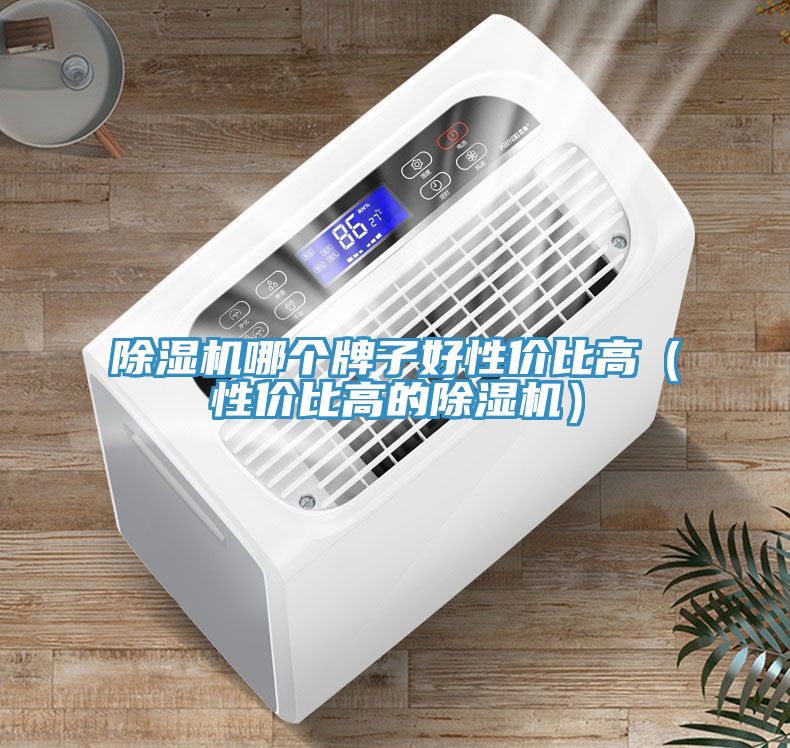 亚洲欧美一级特黄大片 除湿机哪个牌子好性价比高（性价比高的除湿机）