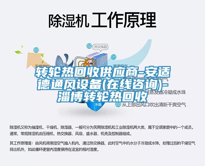 亚洲人成综合第一网站 转轮热回收供应商-安适德通风设备(在线咨询)-淄博转轮热回收