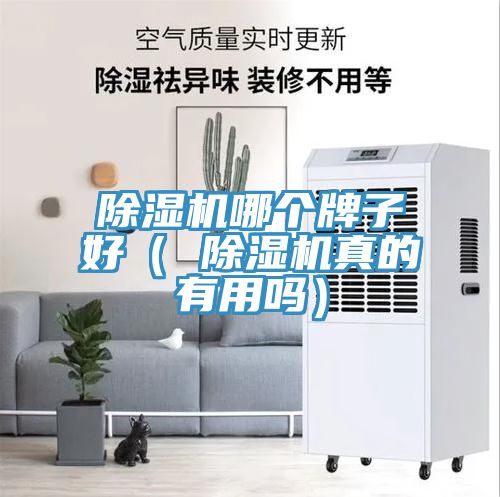 亚洲人成综合第一网站 除湿机哪个牌子好（ 除湿机真的有用吗）