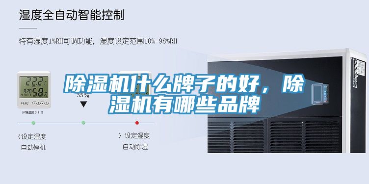 亚洲乱码一区二区三区 除湿机什么牌子的好，除湿机有哪些品牌