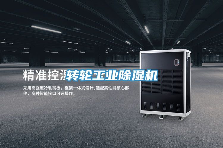 亚洲人成综合第一网站 转轮工业除湿机