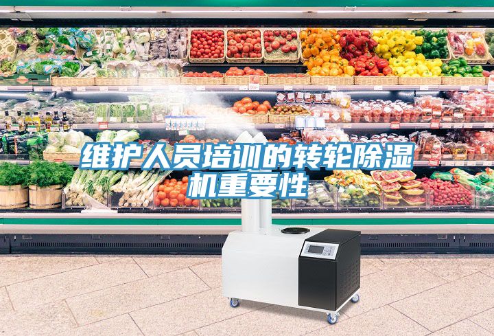 亚洲人成综合第一网站 维护人员培训的转轮除湿机重要性