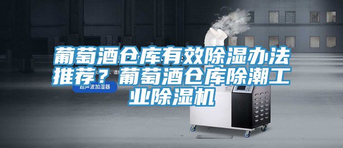 亚洲人成综合第一网站 葡萄酒仓库有效除湿办法推荐？葡萄酒仓库除潮工业除湿机