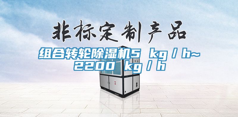 亚洲人成综合第一网站 组合转轮除湿机5 kg／h~2200 kg／h