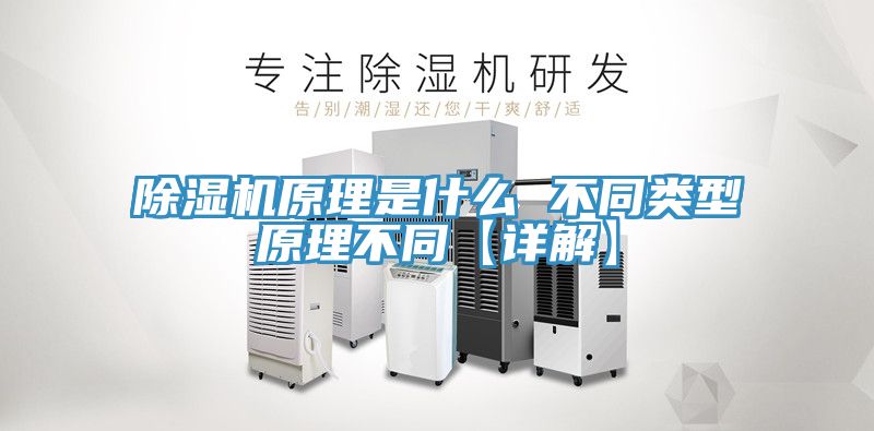 亚洲人成综合第一网站 除湿机原理是什么 不同类型原理不同【详解】