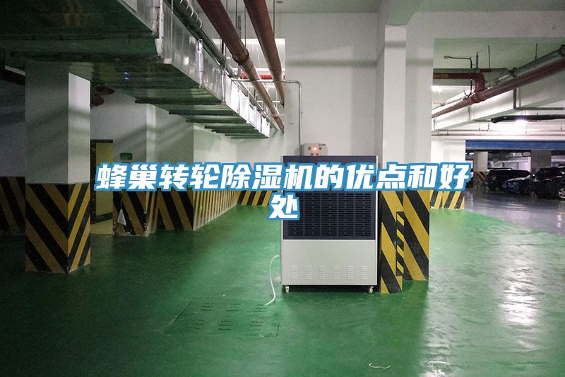 亚洲人成综合第一网站 蜂巢转轮除湿机的优点和好处