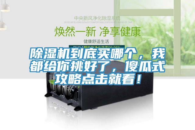亚洲人成综合第一网站 除湿机到底买哪个，我都给你挑好了，傻瓜式攻略点击就看！