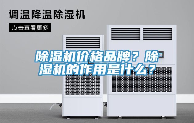 亚洲人成综合第一网站 除湿机价格品牌？除湿机的作用是什么？