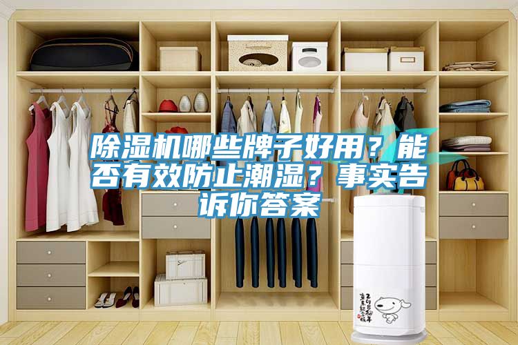 亚洲人成综合第一网站 除湿机哪些牌子好用？能否有效防止潮湿？事实告诉你答案