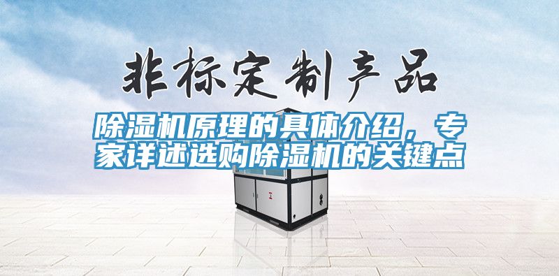 亚洲人成综合第一网站 除湿机原理的具体介绍，专家详述选购除湿机的关键点