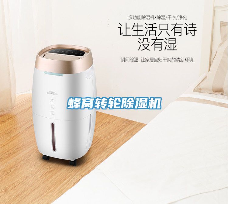 亚洲欧美一级特黄大片 蜂窝转轮除湿机