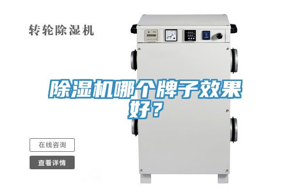 亚洲人成综合第一网站 除湿机哪个牌子效果好？