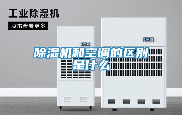 亚洲人成综合第一网站 除湿机和空调的区别是什么
