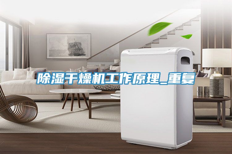 亚洲欧美一级特黄大片 除湿干燥机工作原理_重复