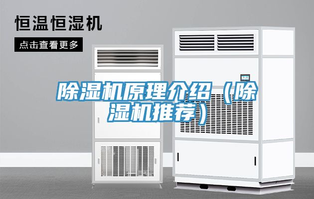 亚洲欧美一级特黄大片 除湿机原理介绍（除湿机推荐）