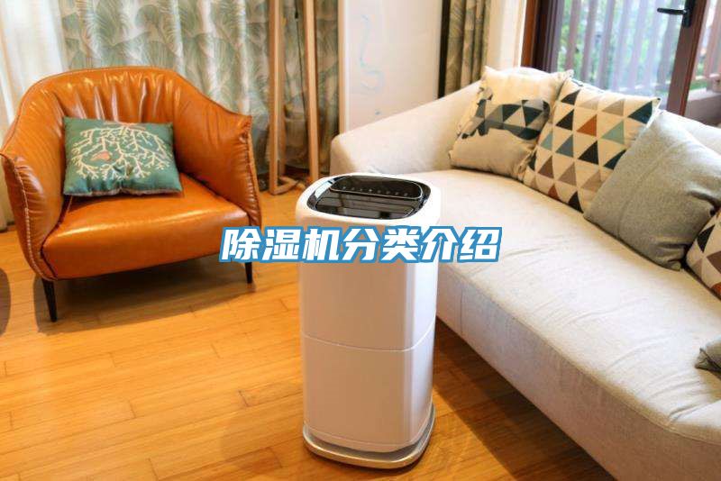 亚洲乱码一区二区三区 除湿机分类介绍