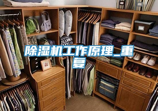 亚洲乱码一区二区三区 除湿机工作原理_重复