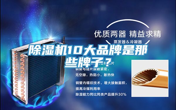 亚洲欧美一级特黄大片 除湿机10大品牌是那些牌子？