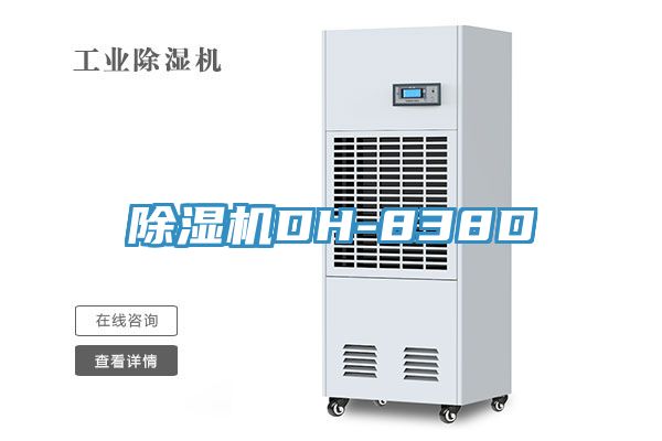 亚洲乱码一区二区三区 除湿机DH-838D