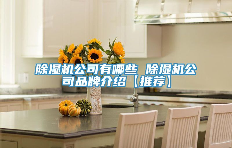 亚洲人成综合第一网站 除湿机公司有哪些 除湿机公司品牌介绍【推荐】