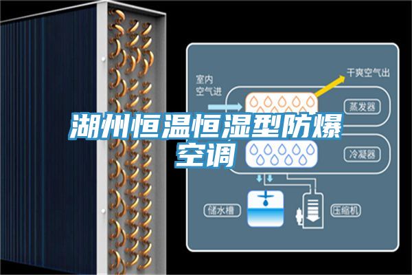 亚洲人成综合第一网站 湖州恒温恒湿型防爆空调