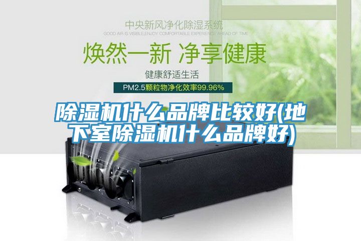 亚洲欧美一级特黄大片 除湿机什么品牌比较好(地下室除湿机什么品牌好)