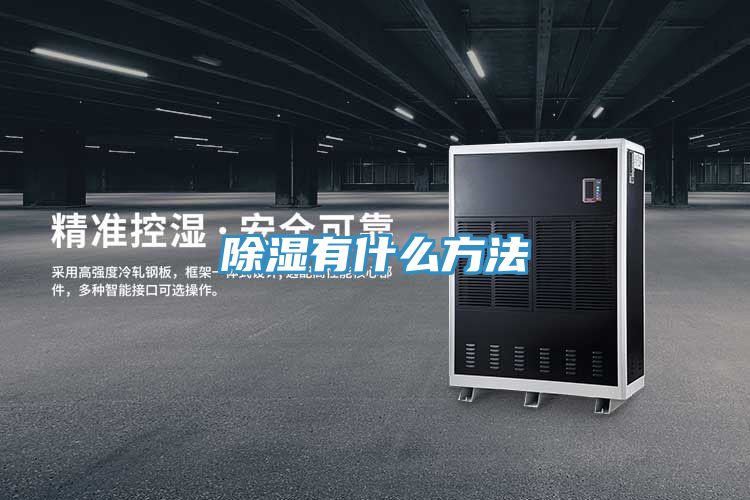 亚洲欧美一级特黄大片 除湿有什么方法