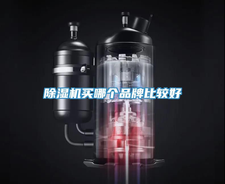 亚洲欧美一级特黄大片 除湿机买哪个品牌比较好