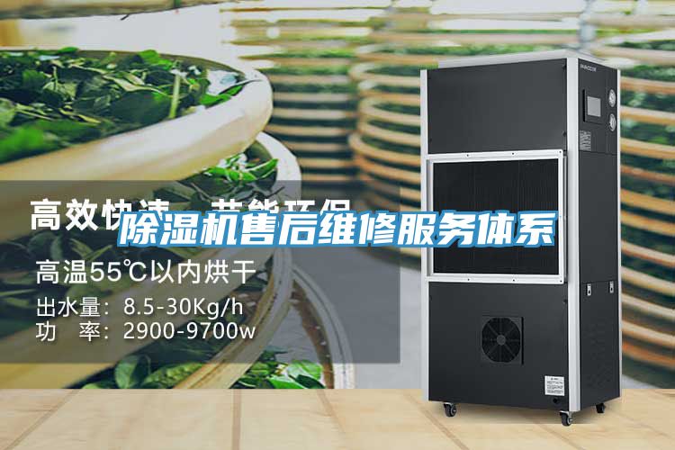亚洲欧美一级特黄大片 除湿机售后维修服务体系