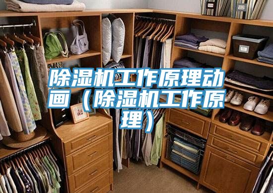 亚洲欧美一级特黄大片 除湿机工作原理动画（除湿机工作原理）